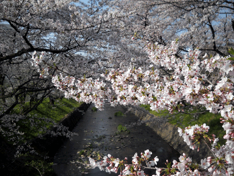 b0000209_19404345.gif