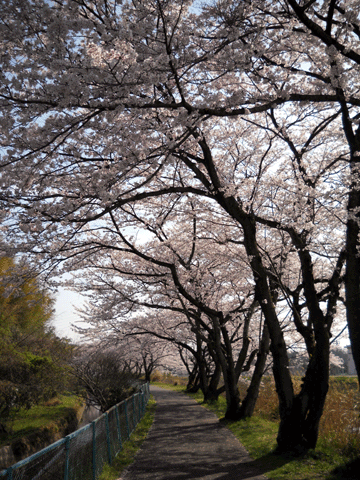 b0000209_1941571.gif