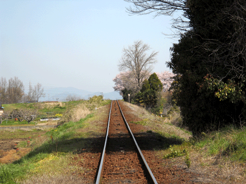 b0000209_19483149.gif