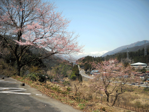 b0000209_201048.gif