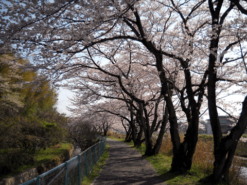 b0000209_202452.gif