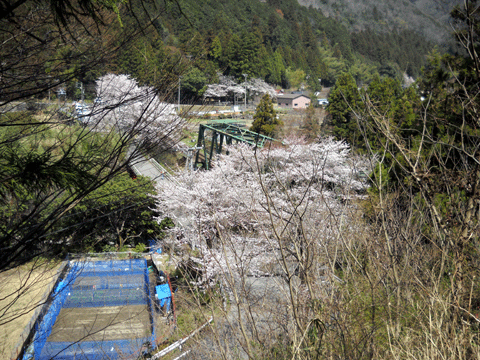 b0000209_2032492.gif