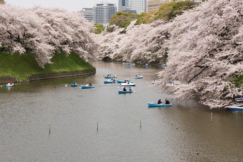 桜の名所は数々あれど・・・_b0112909_19134936.jpg