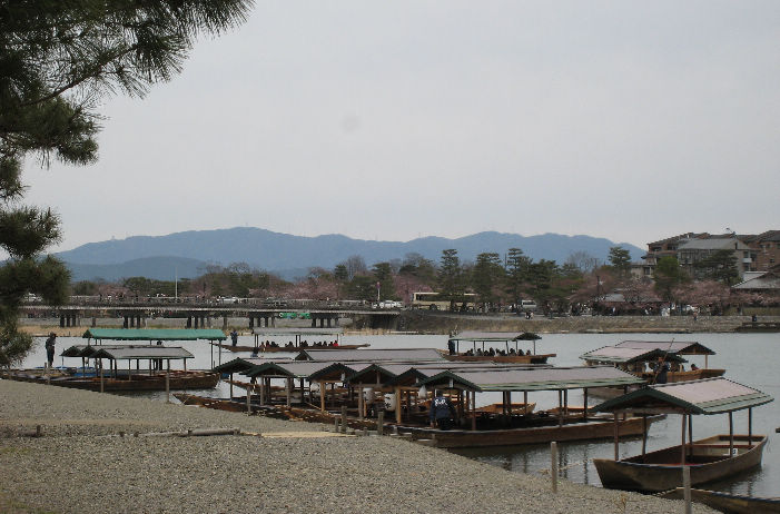 京都の春　嵐山、宝厳院を散策　その1_d0154609_1621347.jpg