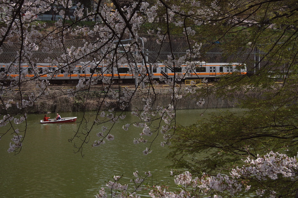 桜花爛漫_b0190710_22311456.jpg