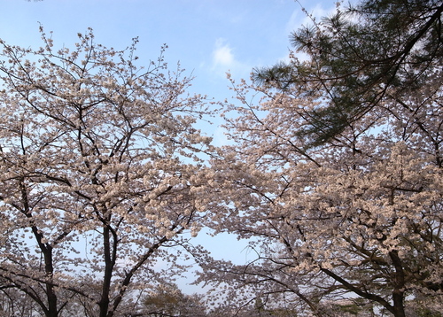 c0221911_2373822.jpg