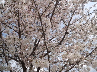 TSUNMA877_c0160112_22321983.jpg