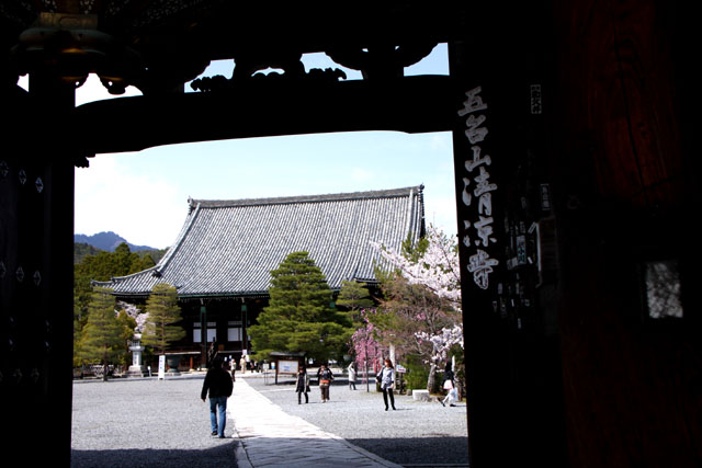 京の花だより 清涼寺 狂言_e0048413_214651.jpg
