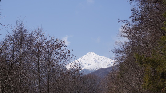 f0233414_2313228.jpg