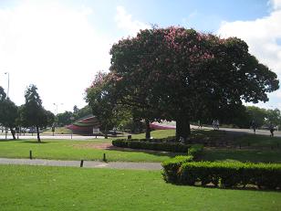 f0135018_7471446.jpg