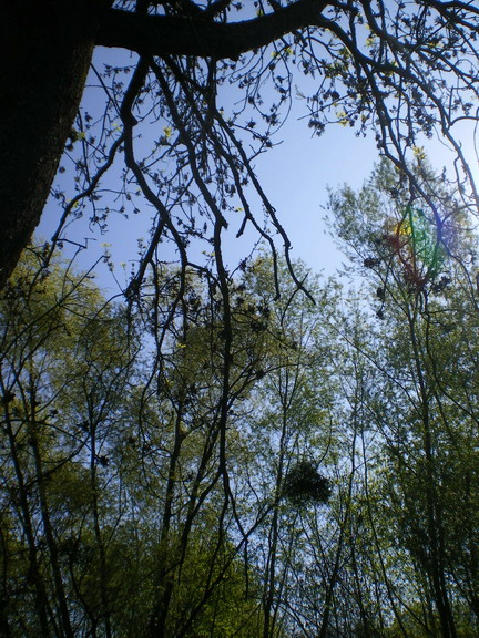 c0124619_0215445.jpg