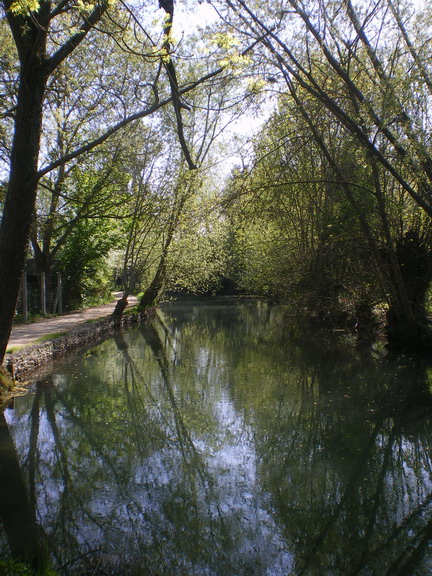 c0124619_0223780.jpg
