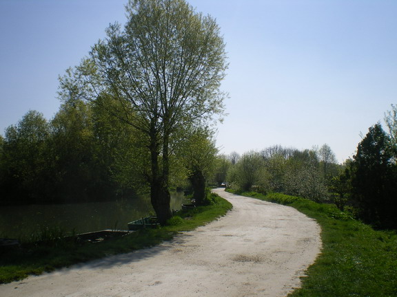 c0124619_0274965.jpg