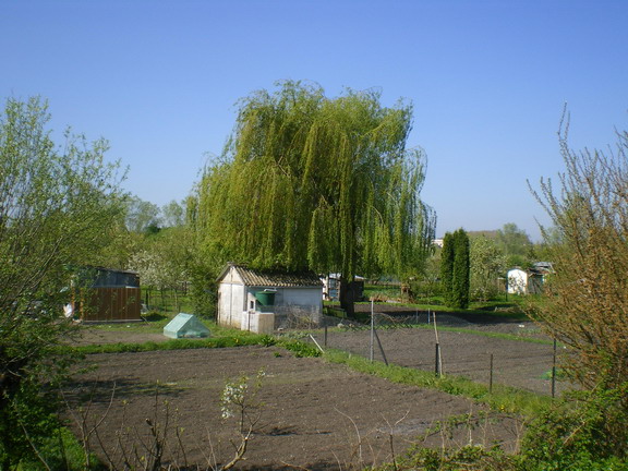 c0124619_032486.jpg