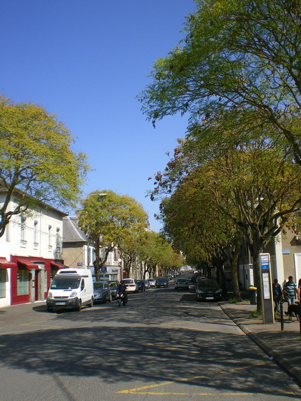 c0124619_0374795.jpg