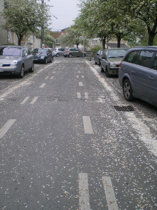 c0124619_20584162.jpg