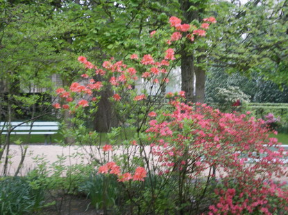 c0124619_2102737.jpg