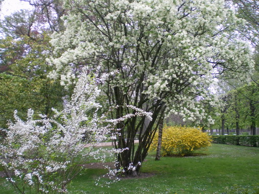c0124619_2104798.jpg