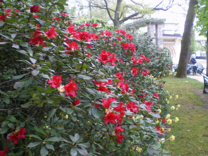 c0124619_210894.jpg