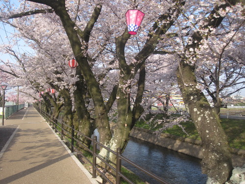 c0225420_1157434.jpg