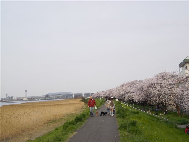 e0224322_21274444.jpg