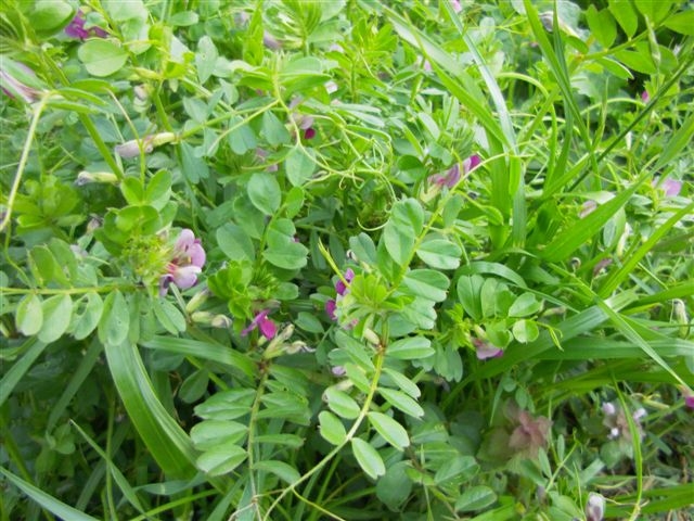 e0224322_2133282.jpg