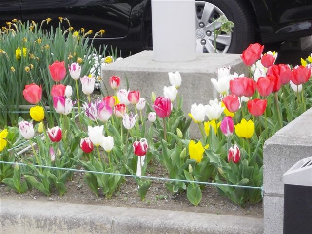 e0224322_21344791.jpg