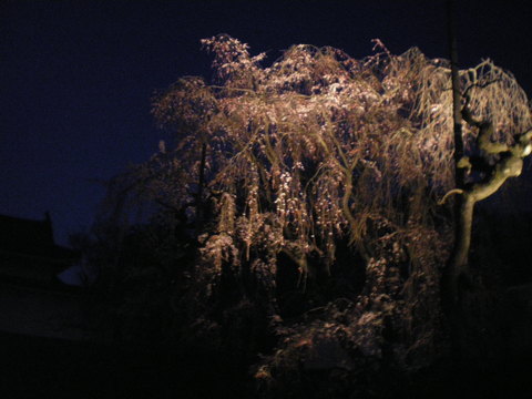 e0128024_17504416.jpg