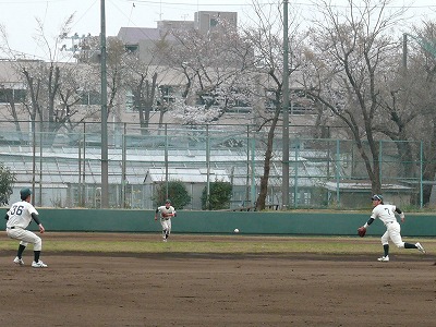 4月7日 東都大学野球2部 専修大対拓殖大 _b0166128_14134392.jpg