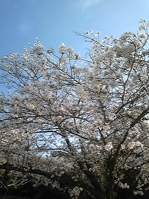 c0101428_17301769.jpg