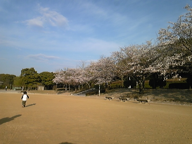 c0101428_17303363.jpg