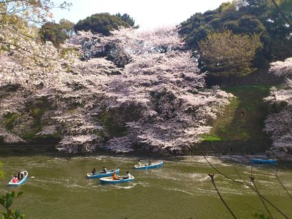 千鳥ヶ淵で_f0152029_17114388.jpg