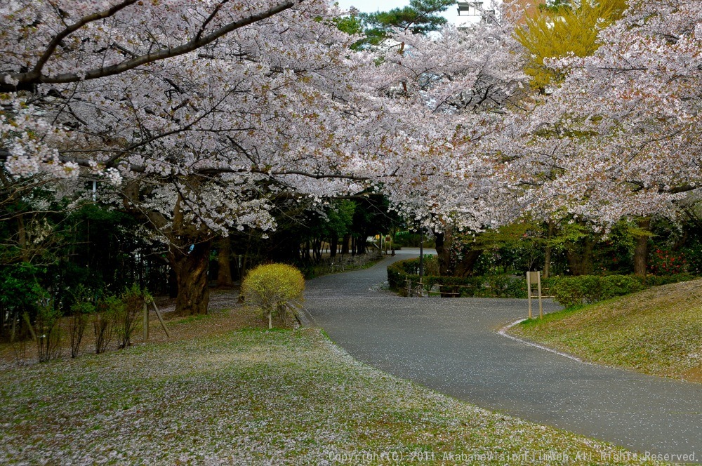 緑山４月コース開放日：VOL1 JOSF活動再開！！！_b0065730_20441767.jpg