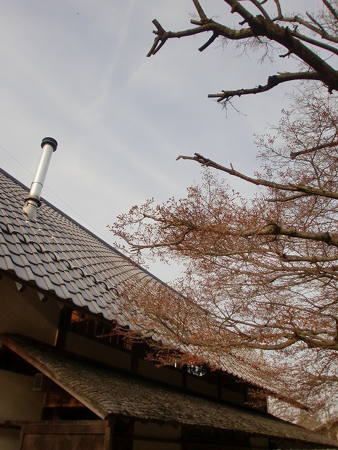 a0148431_21374259.jpg