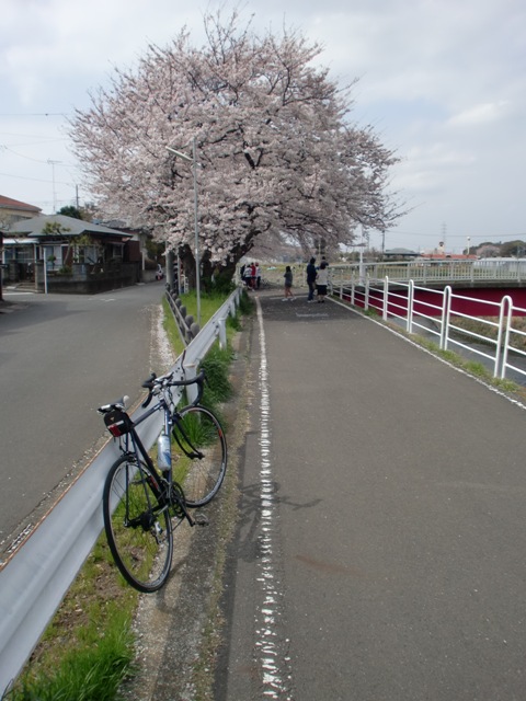 c0001632_20451570.jpg
