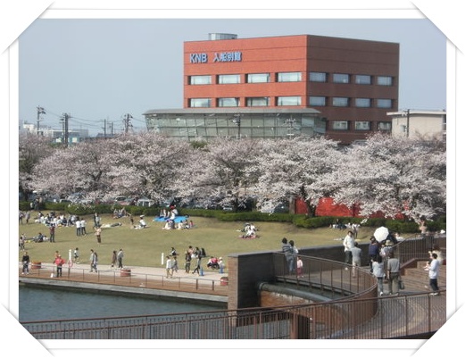 環水公園　花見_e0126434_21202915.jpg