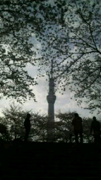 d0011635_17131266.jpg