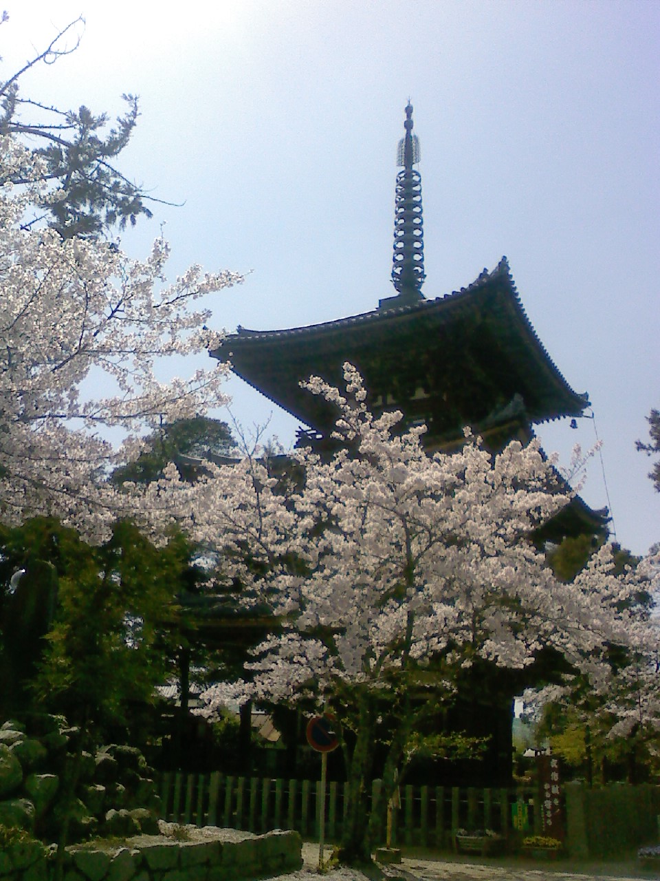 f0172142_23152934.jpg