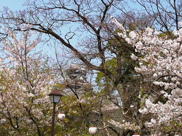退く勇気_b0102247_19442954.jpg