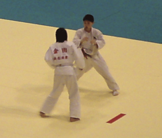 d0200447_1752277.gif