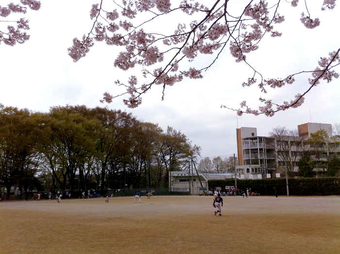 選挙_d0060251_17595251.jpg