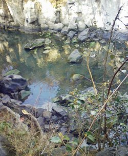 済州島 ~ 4月3日を挟んで ~ その2_f0197754_17391367.jpg