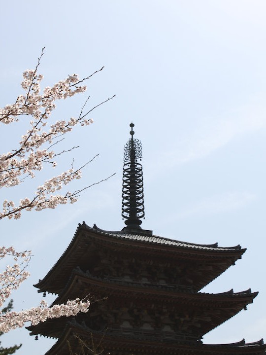 c0178561_2036632.jpg