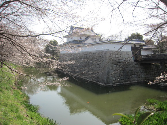 水口城址と我が家での花見_b0100062_15541721.jpg