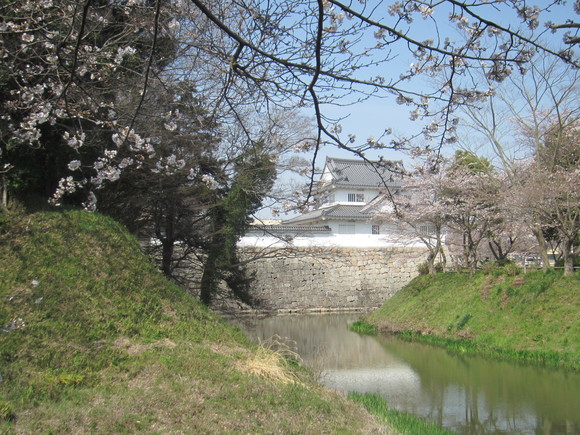 水口城址と我が家での花見_b0100062_15544869.jpg