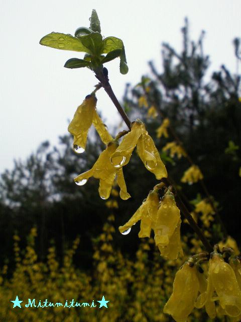 e0223862_17473131.jpg