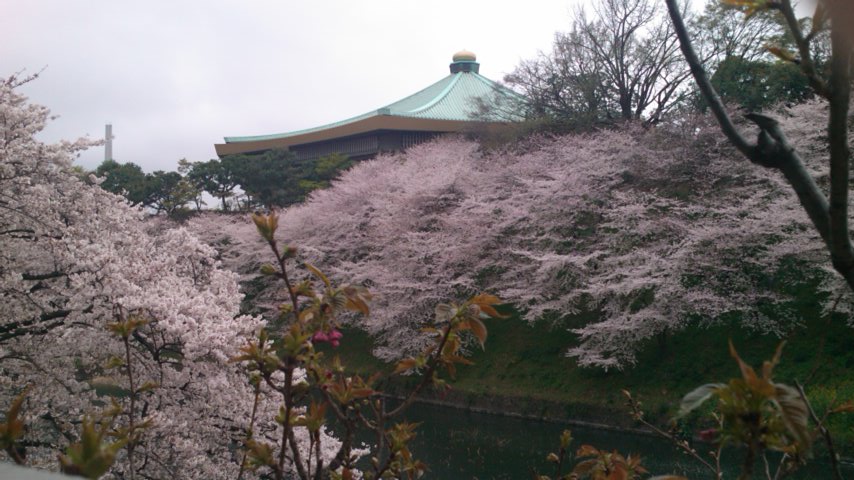 b0108363_8285053.jpg
