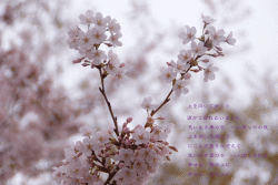 f0016868_20293036.gif