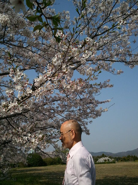 桜の精_a0077071_1643345.jpg