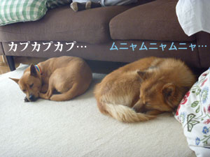 f0238772_11315053.jpg